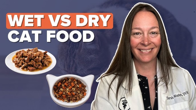 An application scenario or product detail of dry cat food versus wet cat food - Image 23