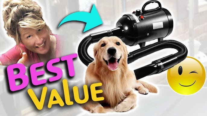 An application scenario or product detail of dryer pet - Image 3