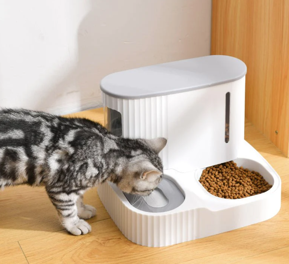 An application scenario or product detail of dual cat feeder - Image 13