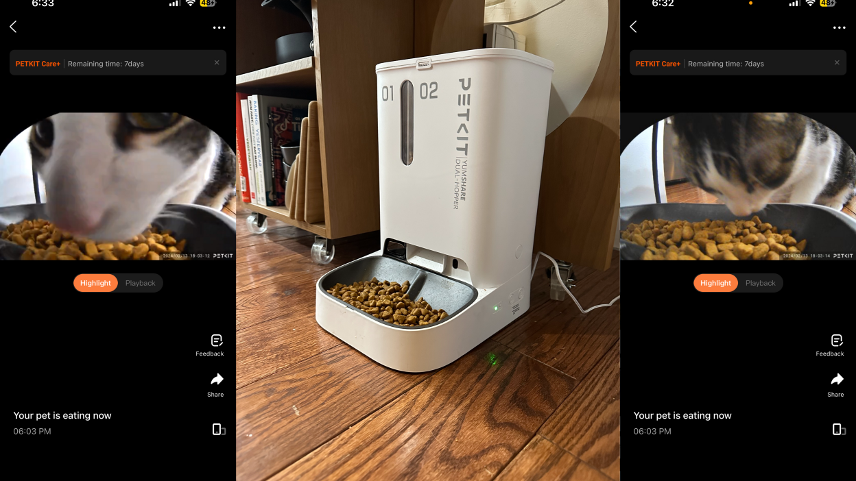 An application scenario or product detail of dual cat feeder - Image 19