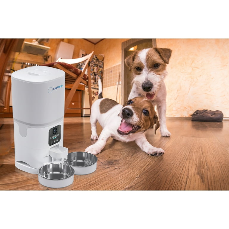 An application scenario or product detail of dual pet feeder - Image 12