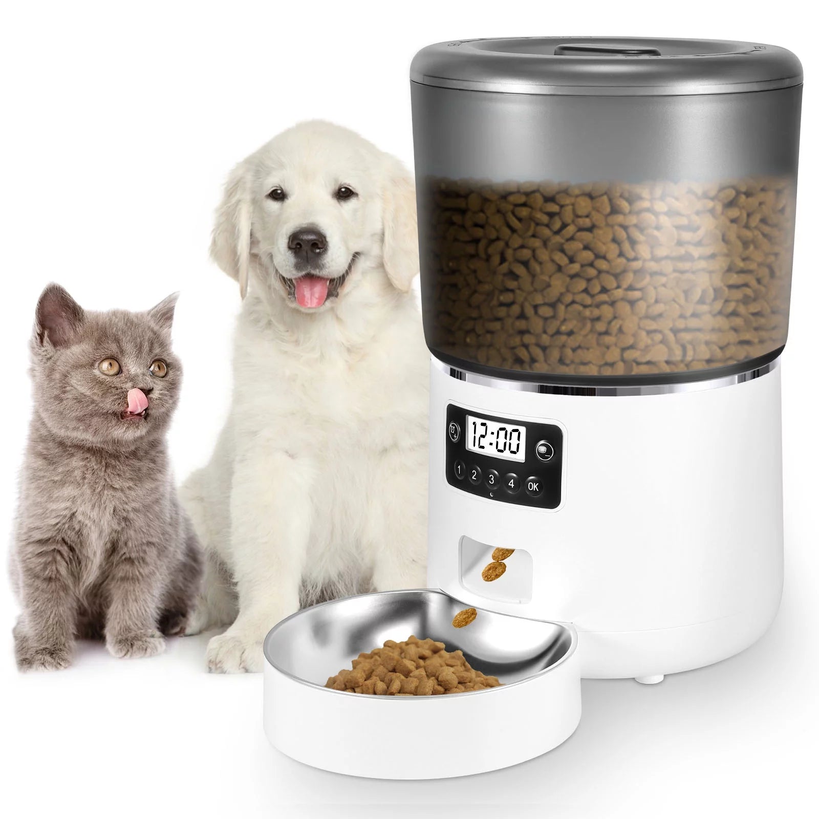 An application scenario or product detail of dual pet feeder - Image 13