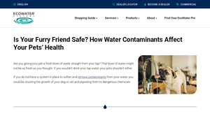 EcoWater - Water Quality Solutions