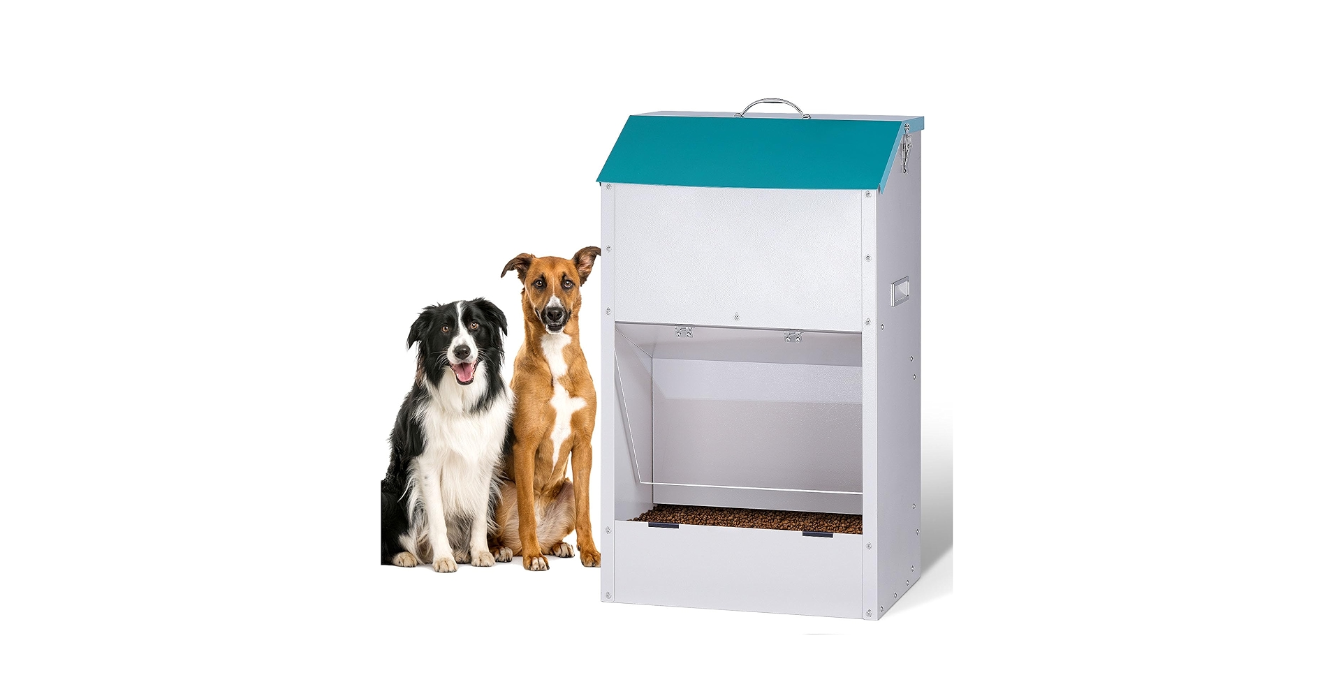 An application scenario or product detail of electric dog feeders - Image 8