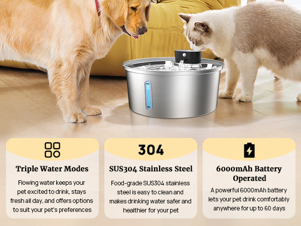 An application scenario or product detail of electric pet water bowl - Image 13