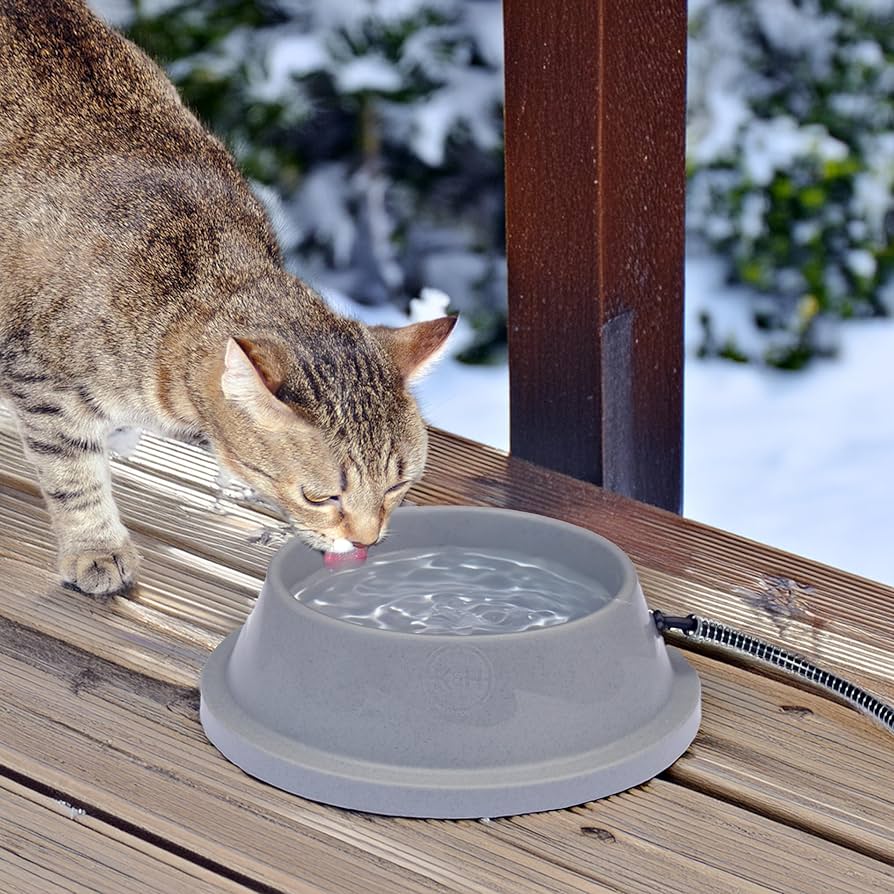 An application scenario or product detail of electric water bowls for cats - Image 16