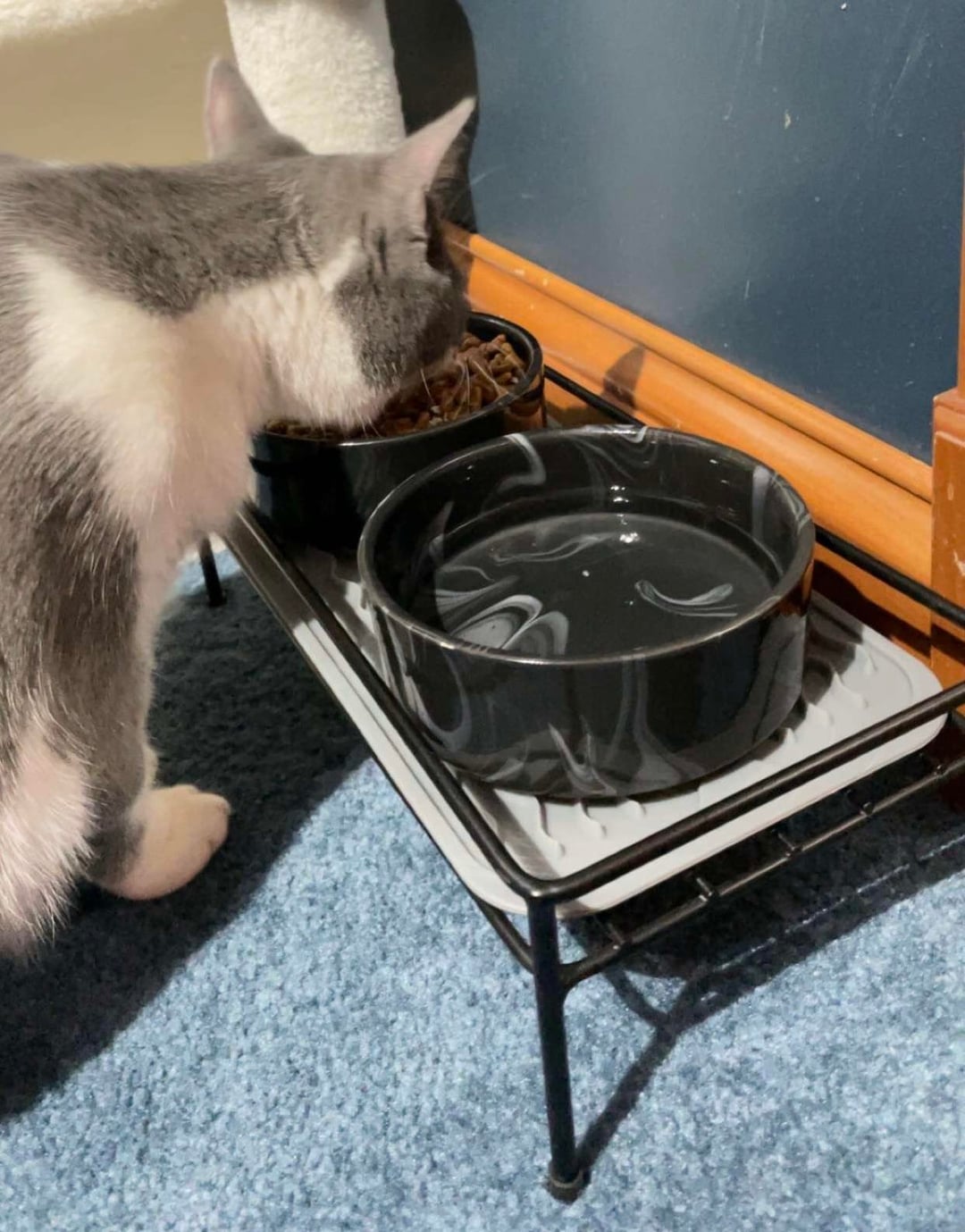 An application scenario or product detail of electric water bowls for cats - Image 18