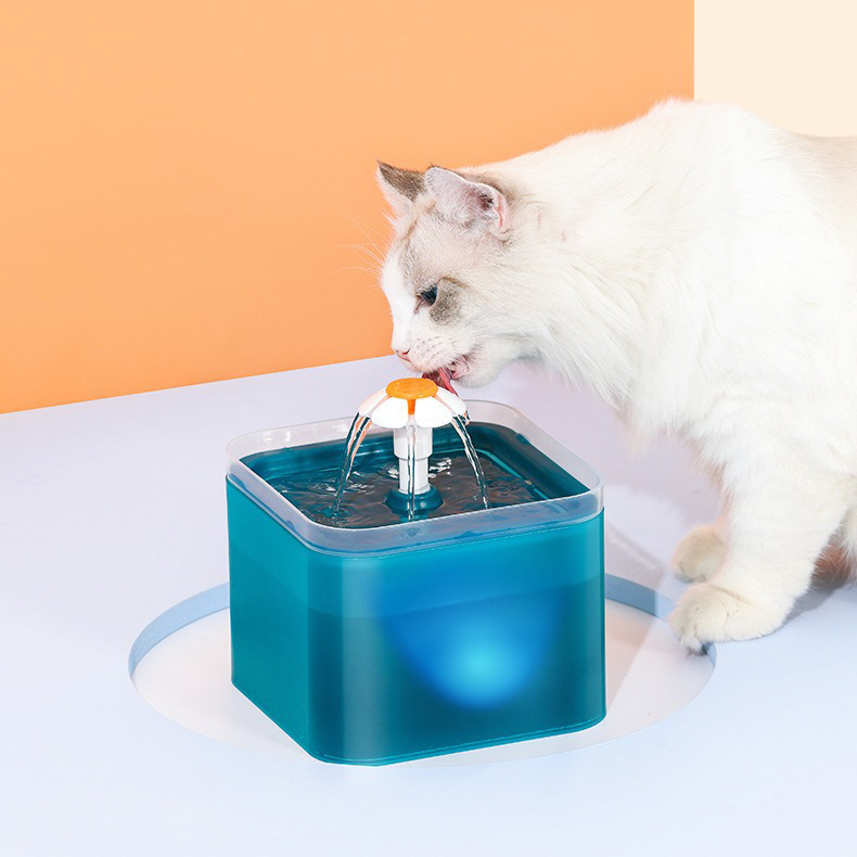 An application scenario or product detail of electric water bowls for cats - Image 24