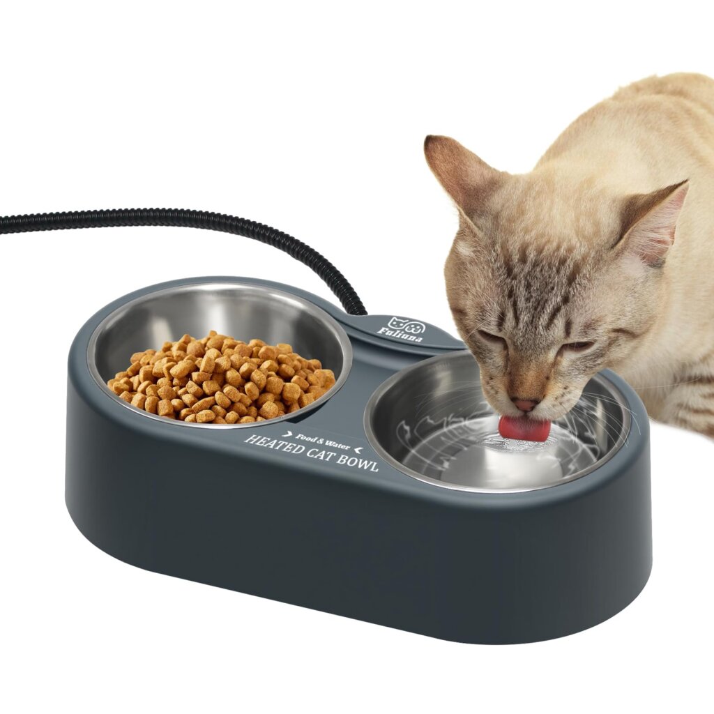 Featured image for the electric water bowls for cats guide