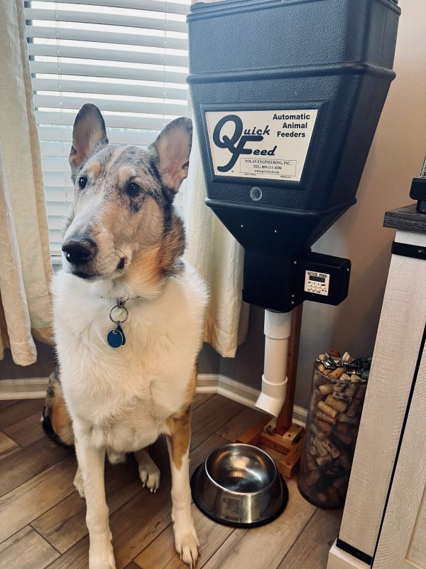 An application scenario or product detail of electronic dog feeders - Image 11