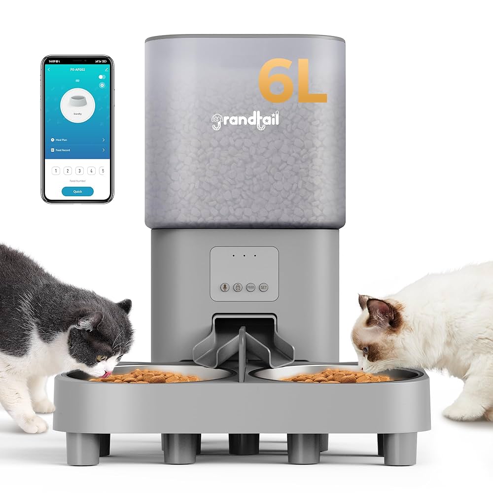 An application scenario or product detail of elevated automatic cat feeder - Image 2
