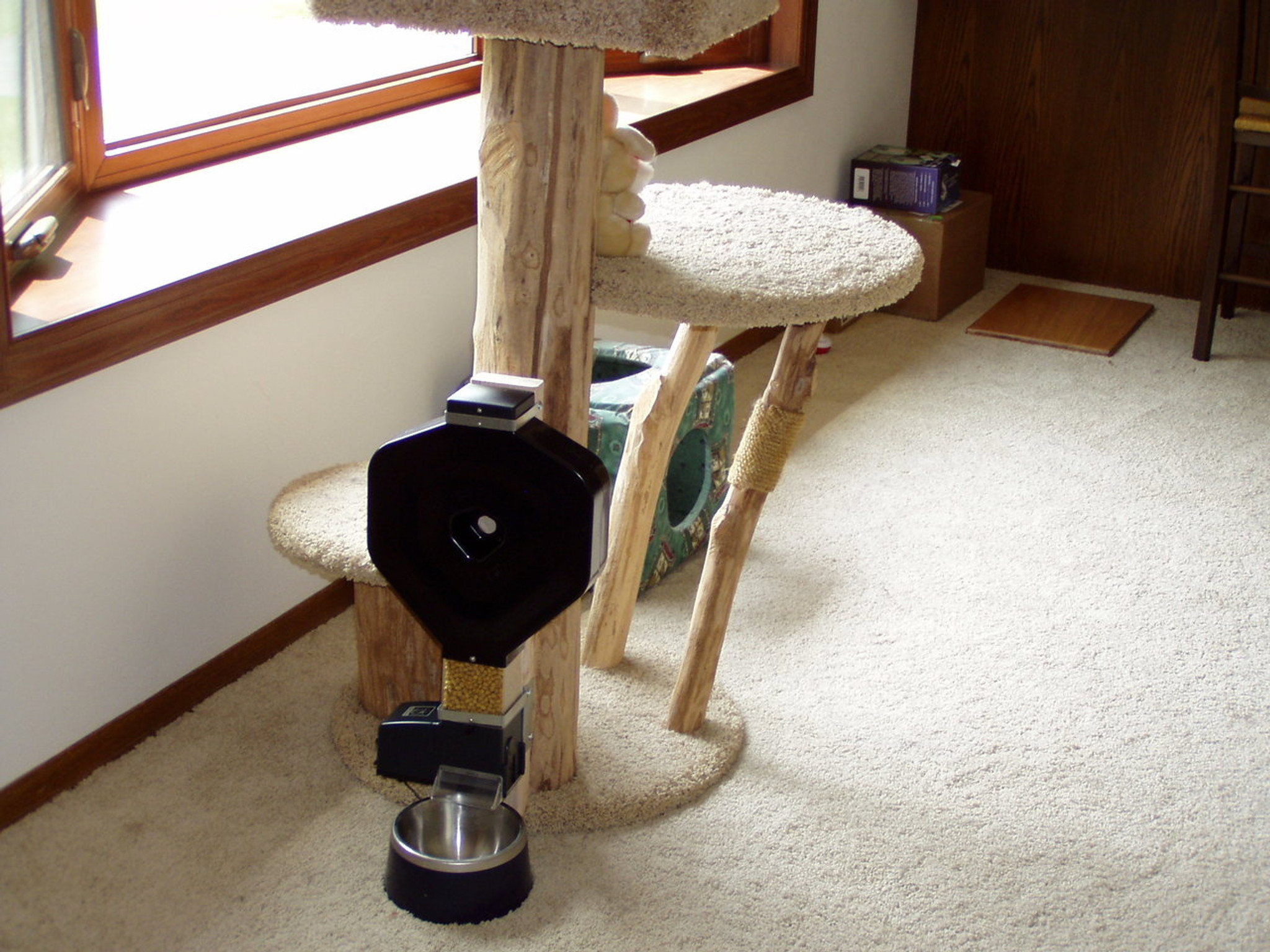 An application scenario or product detail of elevated automatic cat feeder - Image 20
