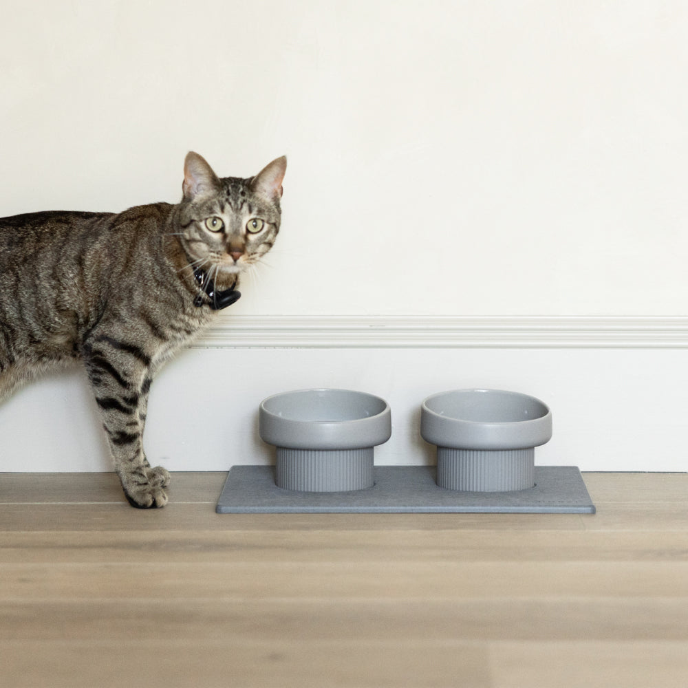 An application scenario or product detail of elevated cat feeder - Image 7