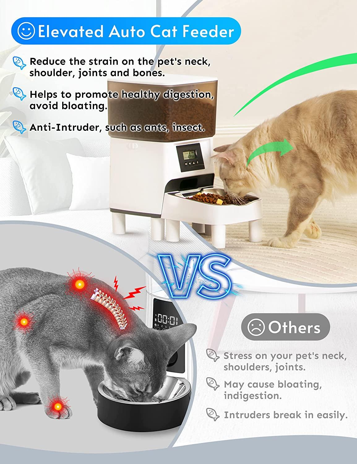 An application scenario or product detail of elevated cat feeder - Image 15