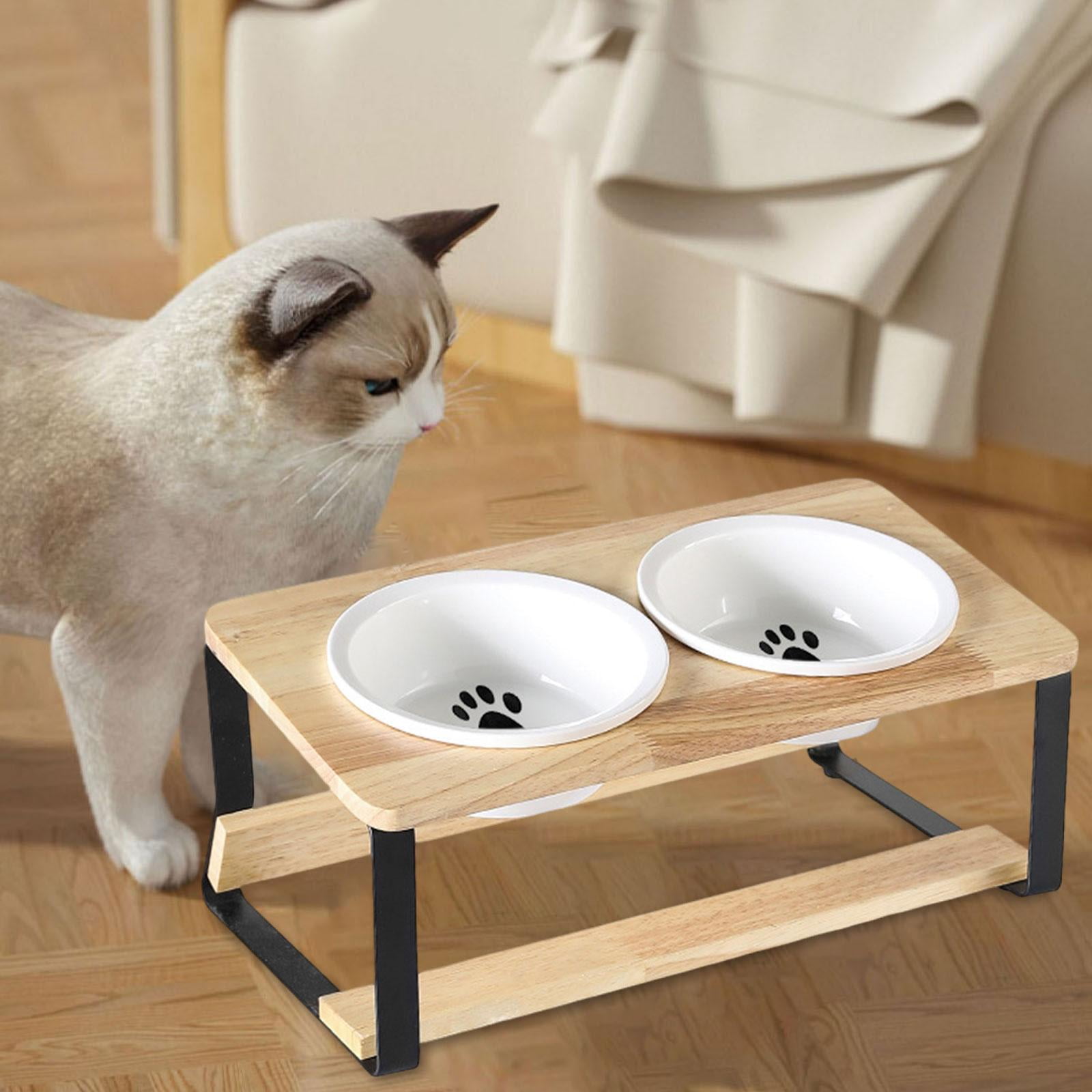 An application scenario or product detail of elevated cat feeder - Image 17