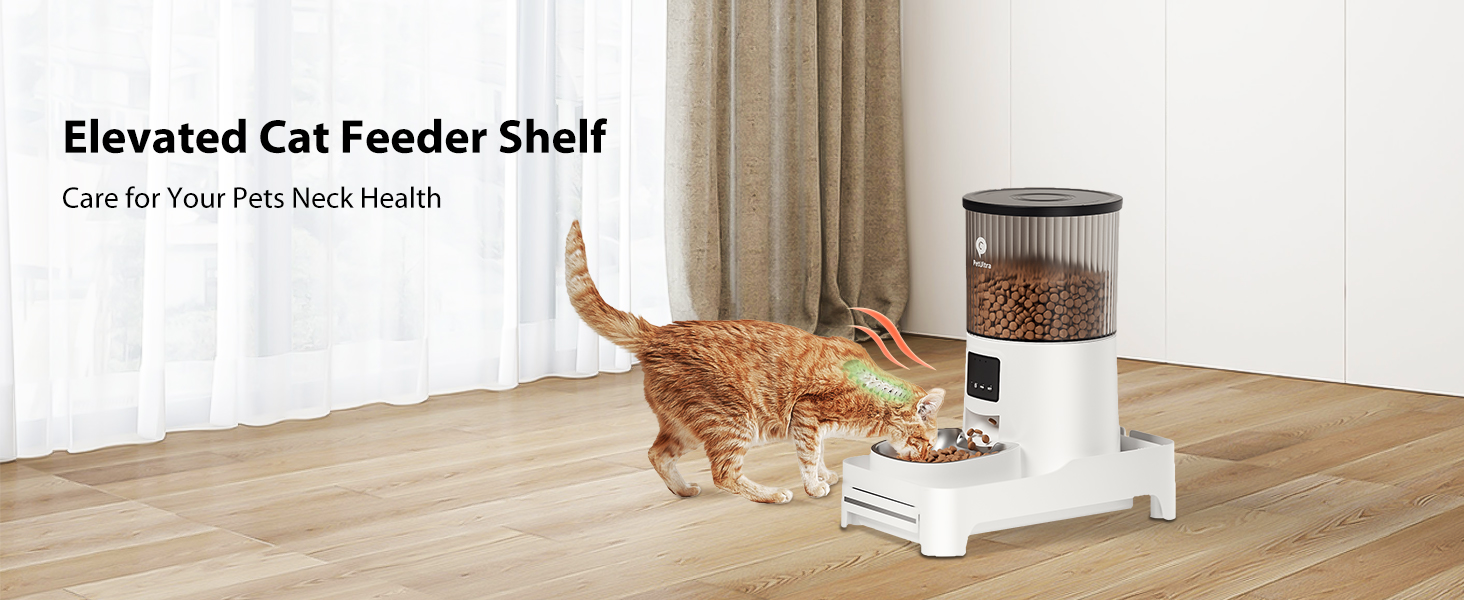 An application scenario or product detail of elevated cat feeder - Image 18