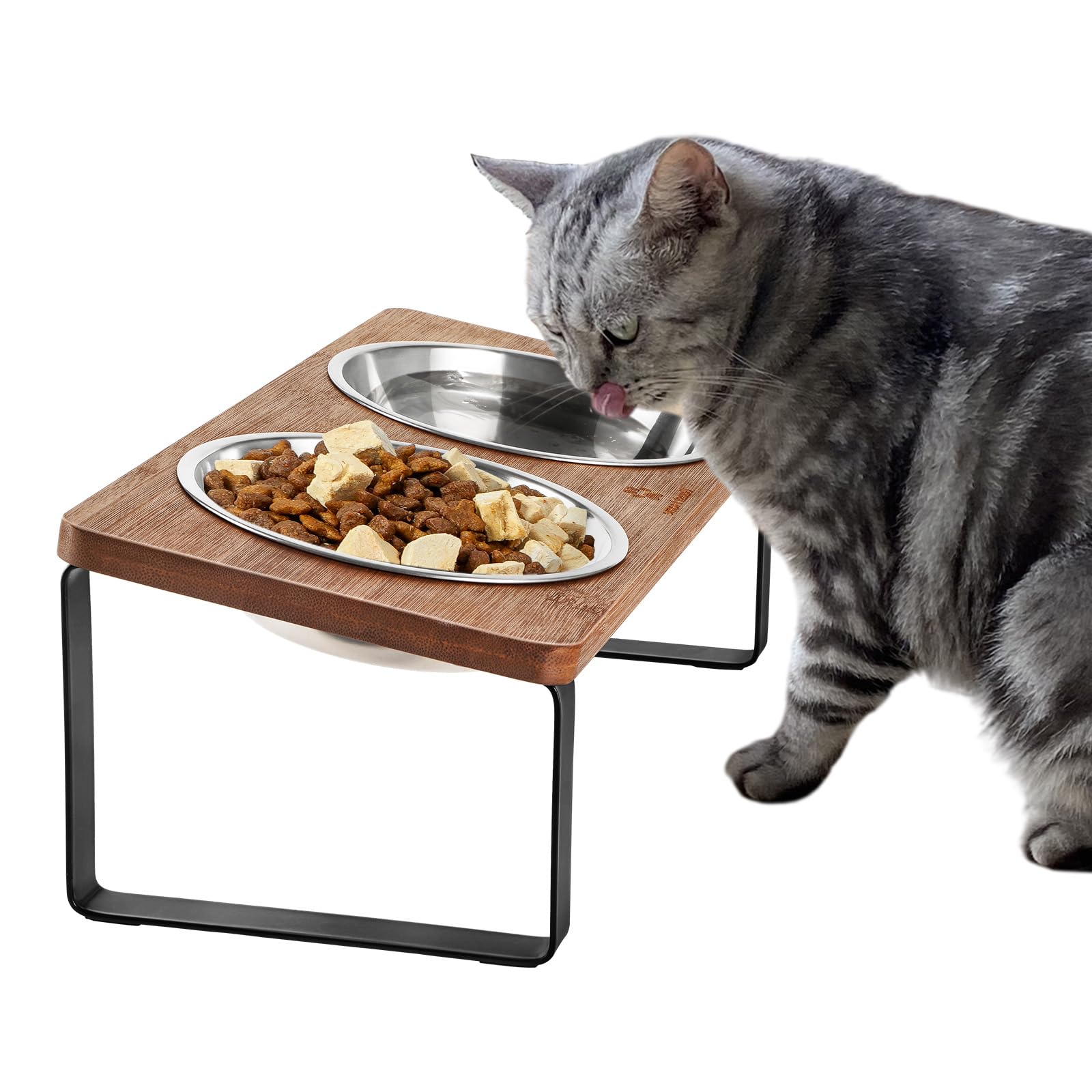 An application scenario or product detail of elevated cat feeder - Image 19