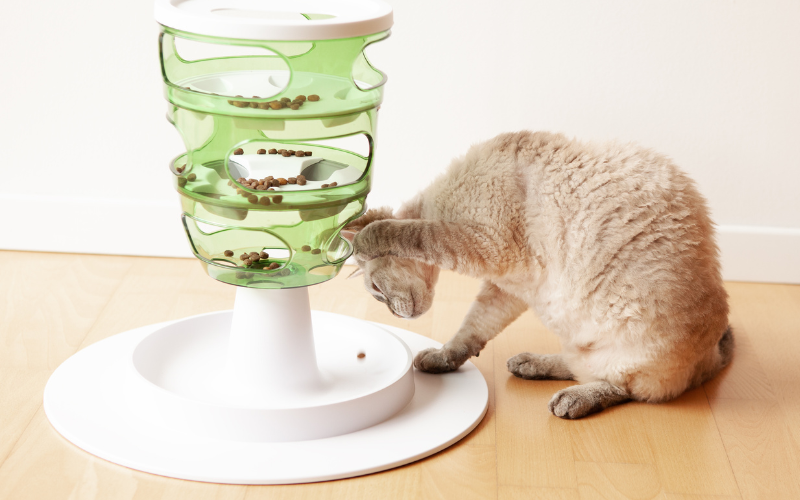 An application scenario or product detail of elevated cat feeder - Image 22