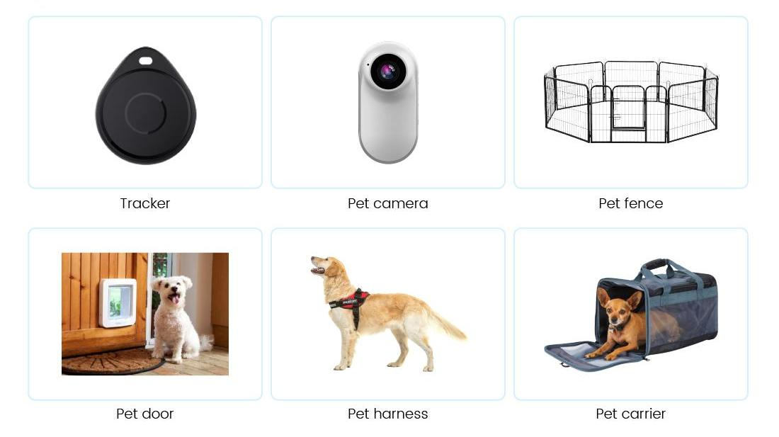 An application scenario or product detail of essential pet products - Image 3