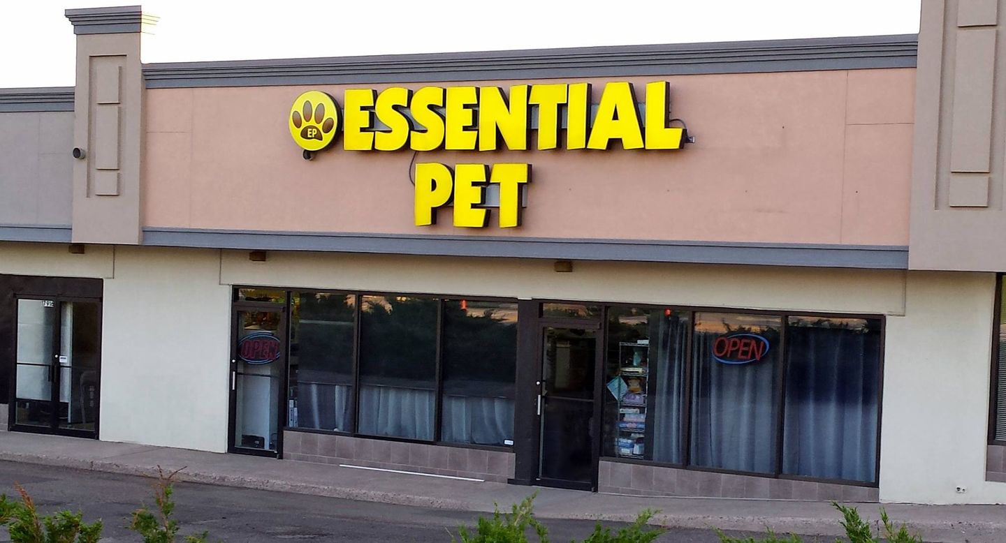 An application scenario or product detail of essential pet products - Image 14