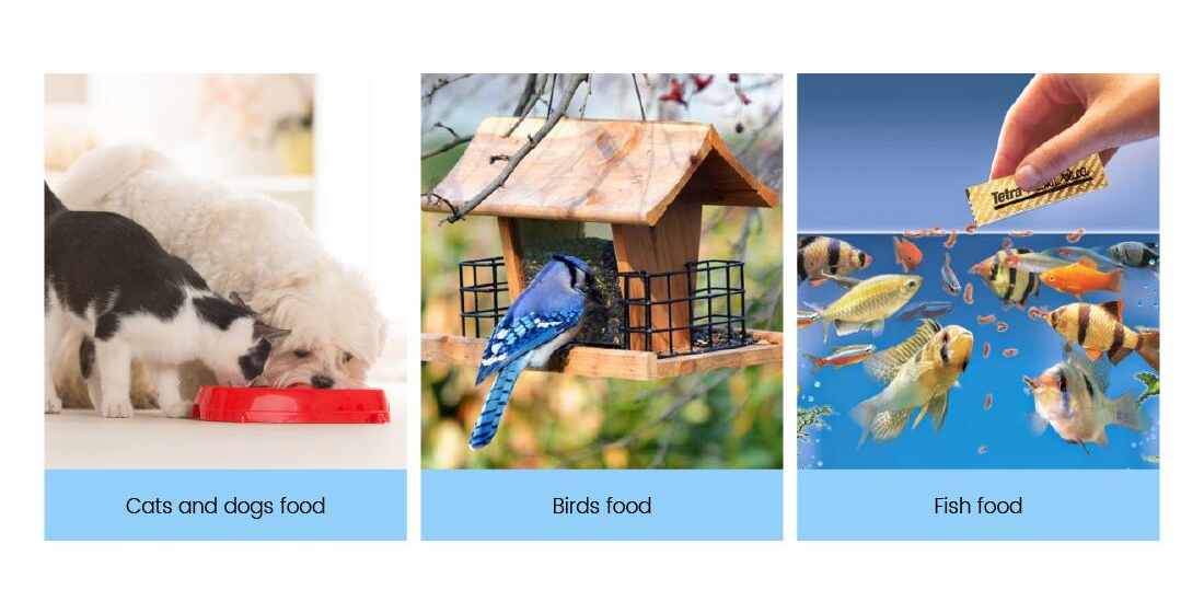 An application scenario or product detail of essential pet products - Image 19