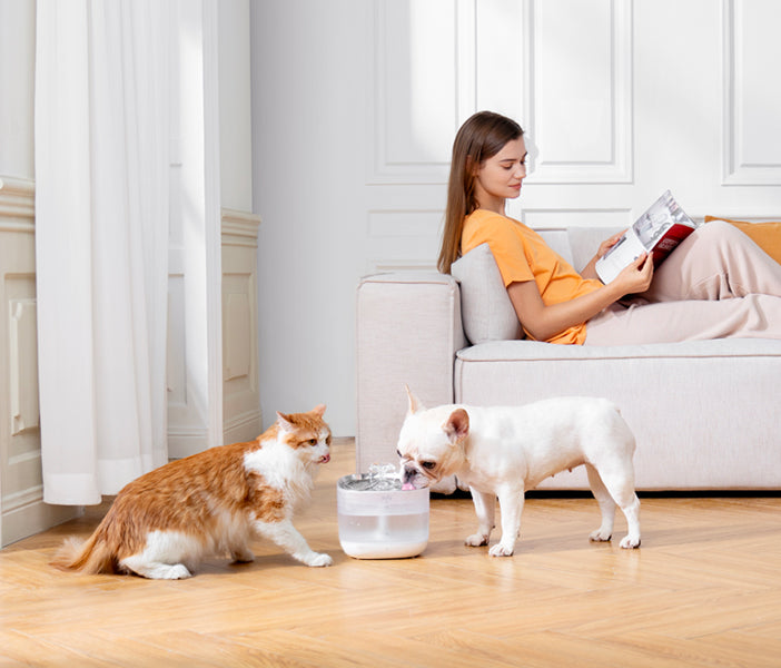 An application scenario or product detail of eufy pet water - Image 18