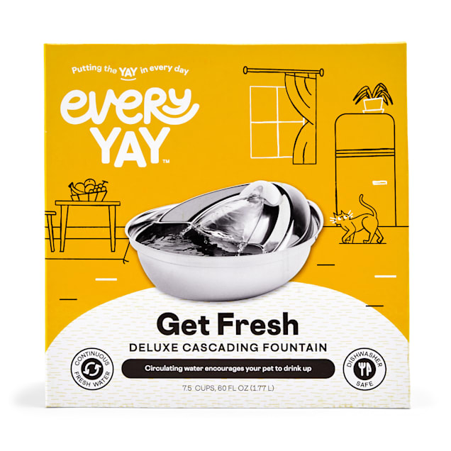 Featured image for the every yay cat fountain guide