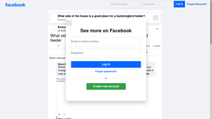 Facebook - Hummingbird Feeder Tips