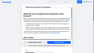 Facebook - Wireless Fountain for Bunny