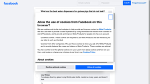 Facebook - Small Animal Ceramic Bowl Recommendations