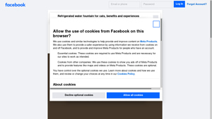 Stewie's Refrigerated - Filtered Water Fountain