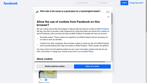 Facebook - Social Media Platform