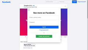 Facebook - Whispurr the Quiet Cat