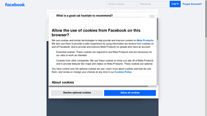 Facebook - Original Cat Fountain