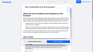 Facebook - Siamese Cat Care