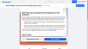 Facebook - Social Networking Platform