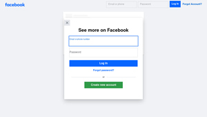 Facebook - Bird Feeders Setup