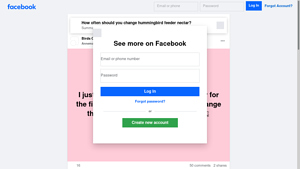 Facebook - Hummingbird Feeder