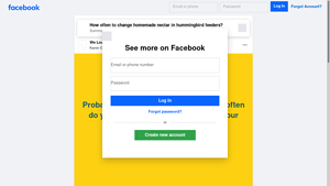 Facebook - Hummingbird Nectar Care