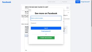 Facebook - My First Ragdoll Water Fountain