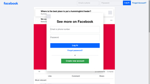 Facebook - Bird Feeder Setup