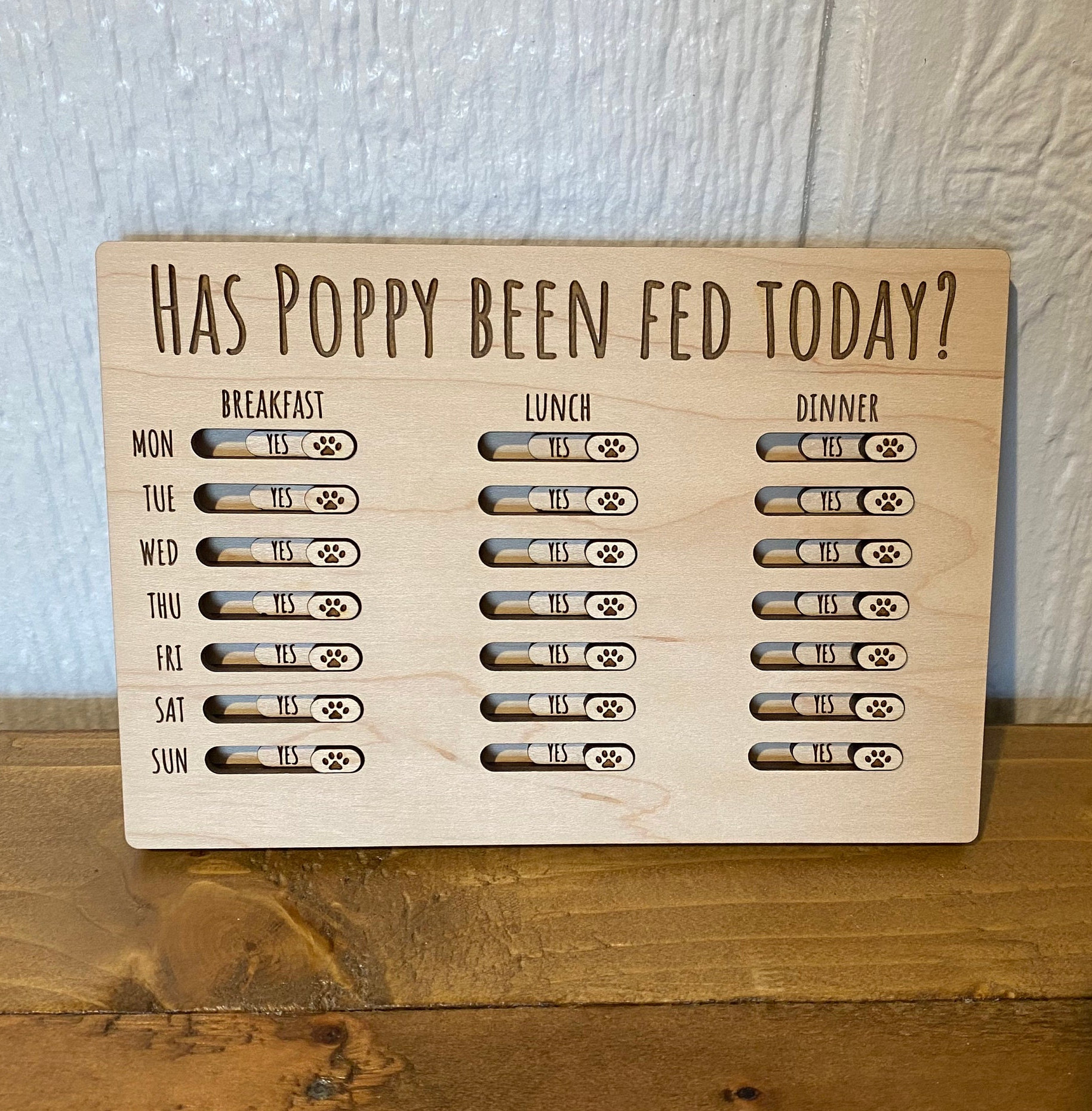 An application scenario or product detail of feed cat once a day - Image 2