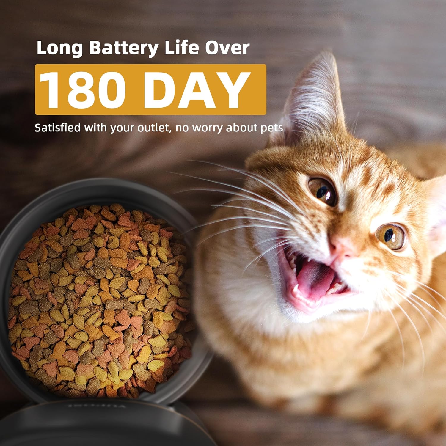 An application scenario or product detail of feed cat once a day - Image 10