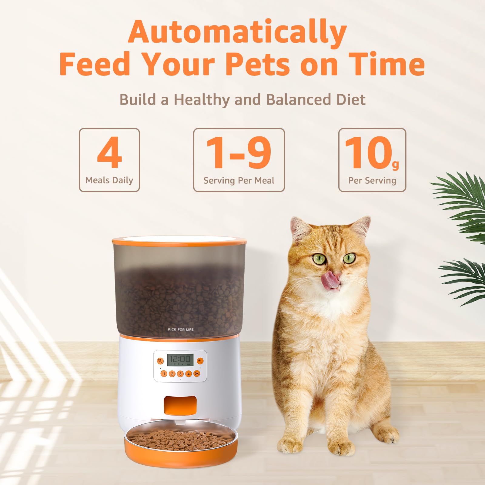An application scenario or product detail of feed cat once a day - Image 14