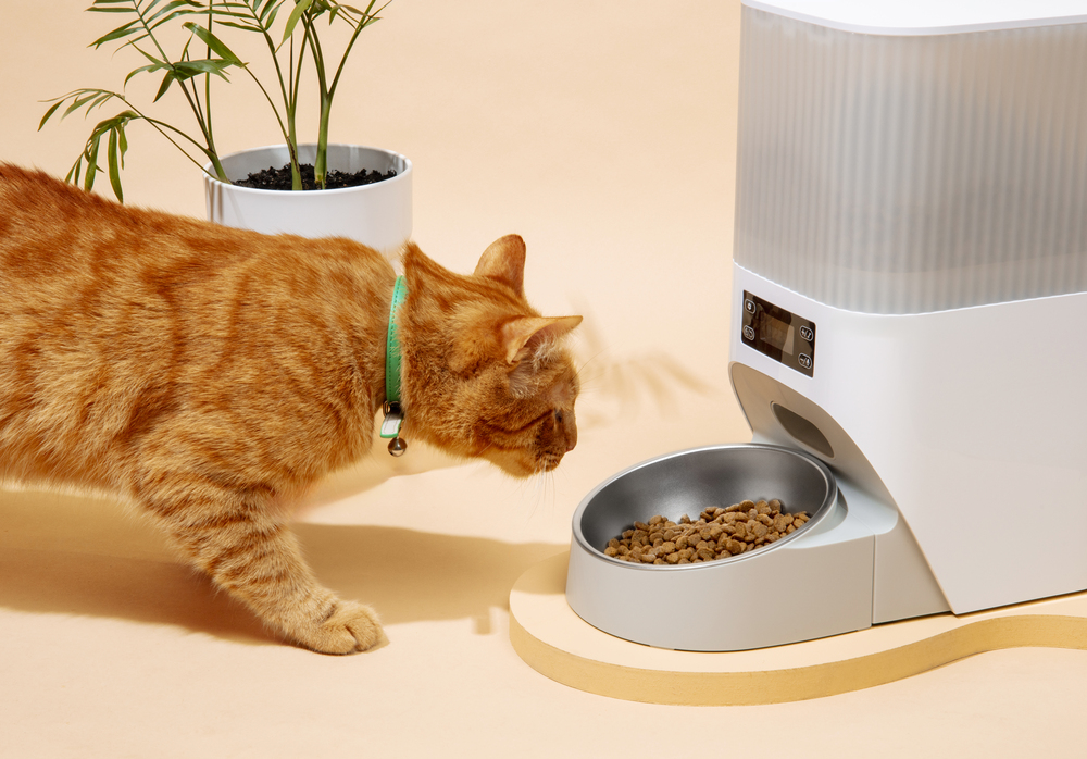 An application scenario or product detail of feeder pet - Image 6