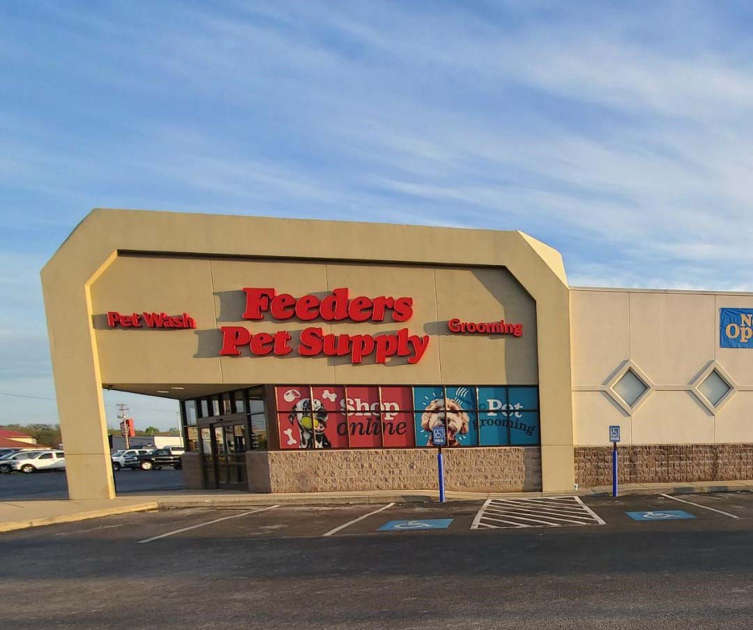 An application scenario or product detail of feeders pet supply locations - Image 2