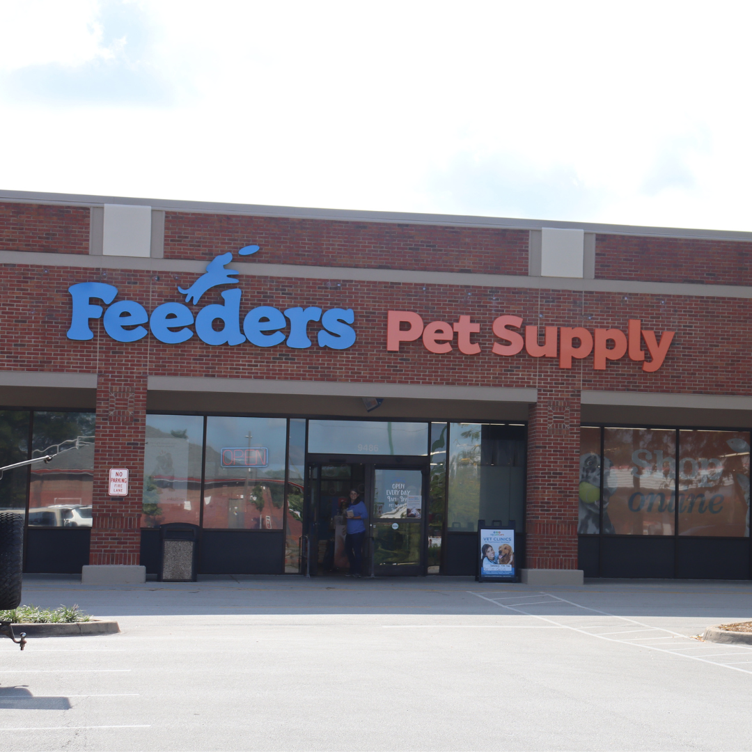 An application scenario or product detail of feeders pet supply locations - Image 10