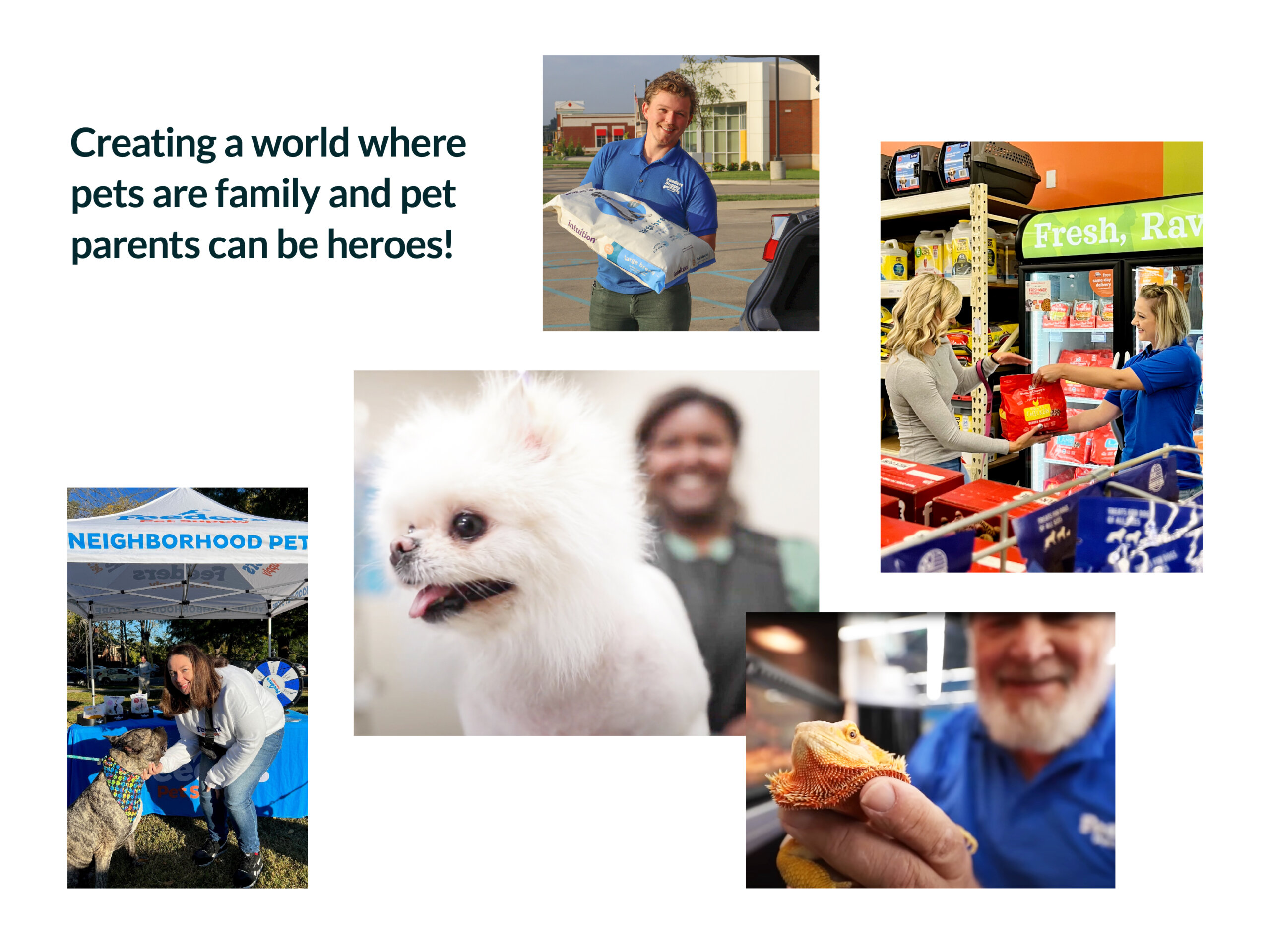 An application scenario or product detail of feeders pet supply locations - Image 13