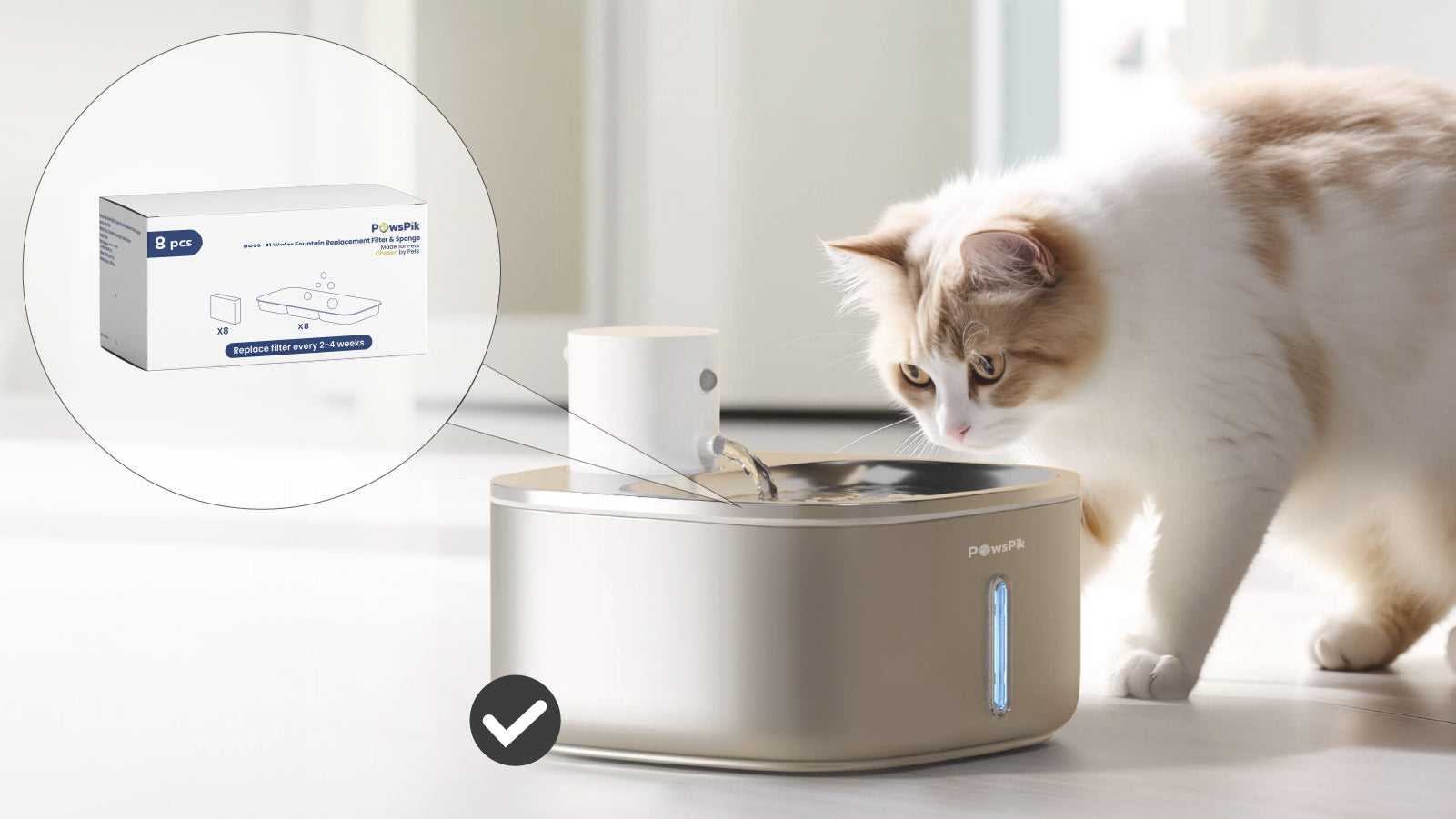 An application scenario or product detail of filter pet water fountain - Image 12