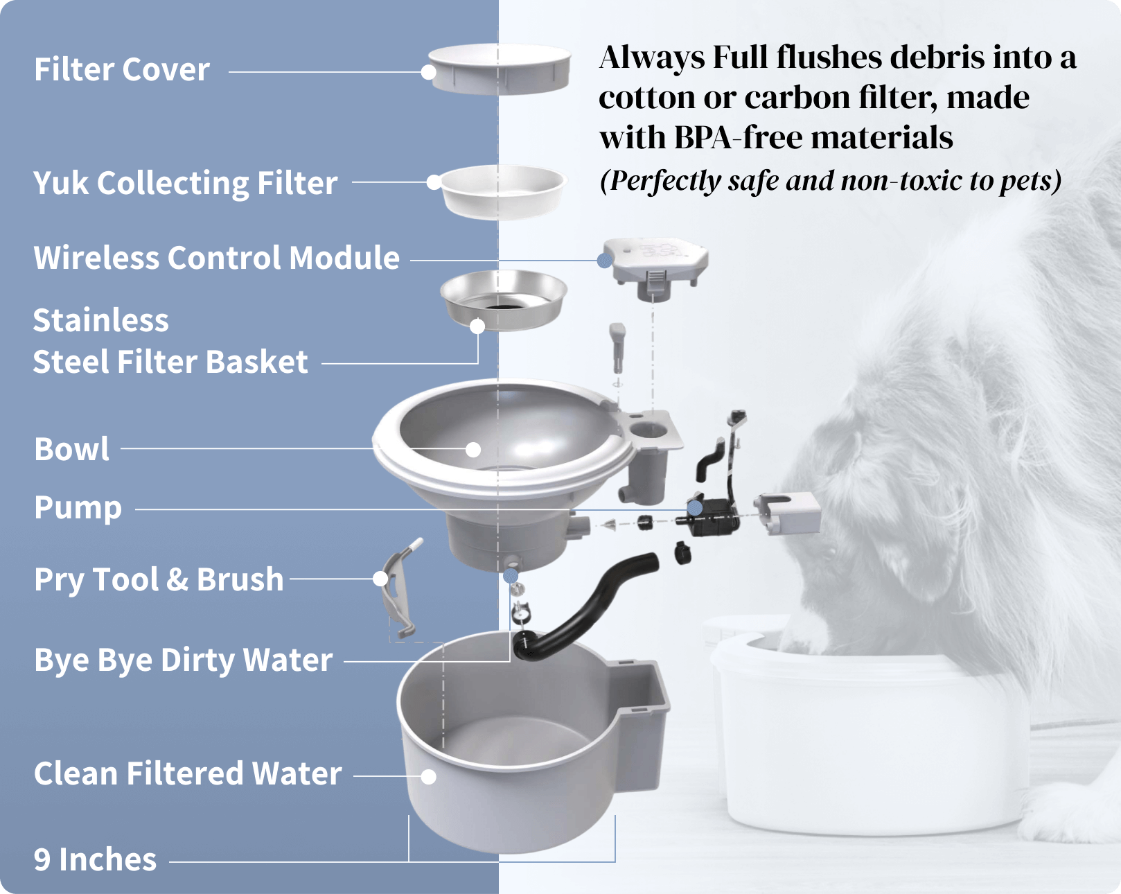 An application scenario or product detail of filter water bowl - Image 18